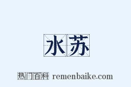 水苏是什么意思的图片